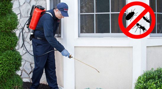 Eşme Karınca İlaçlama böcek ilaçlama ve haşere kontrolü — ilaclama-tr.com
